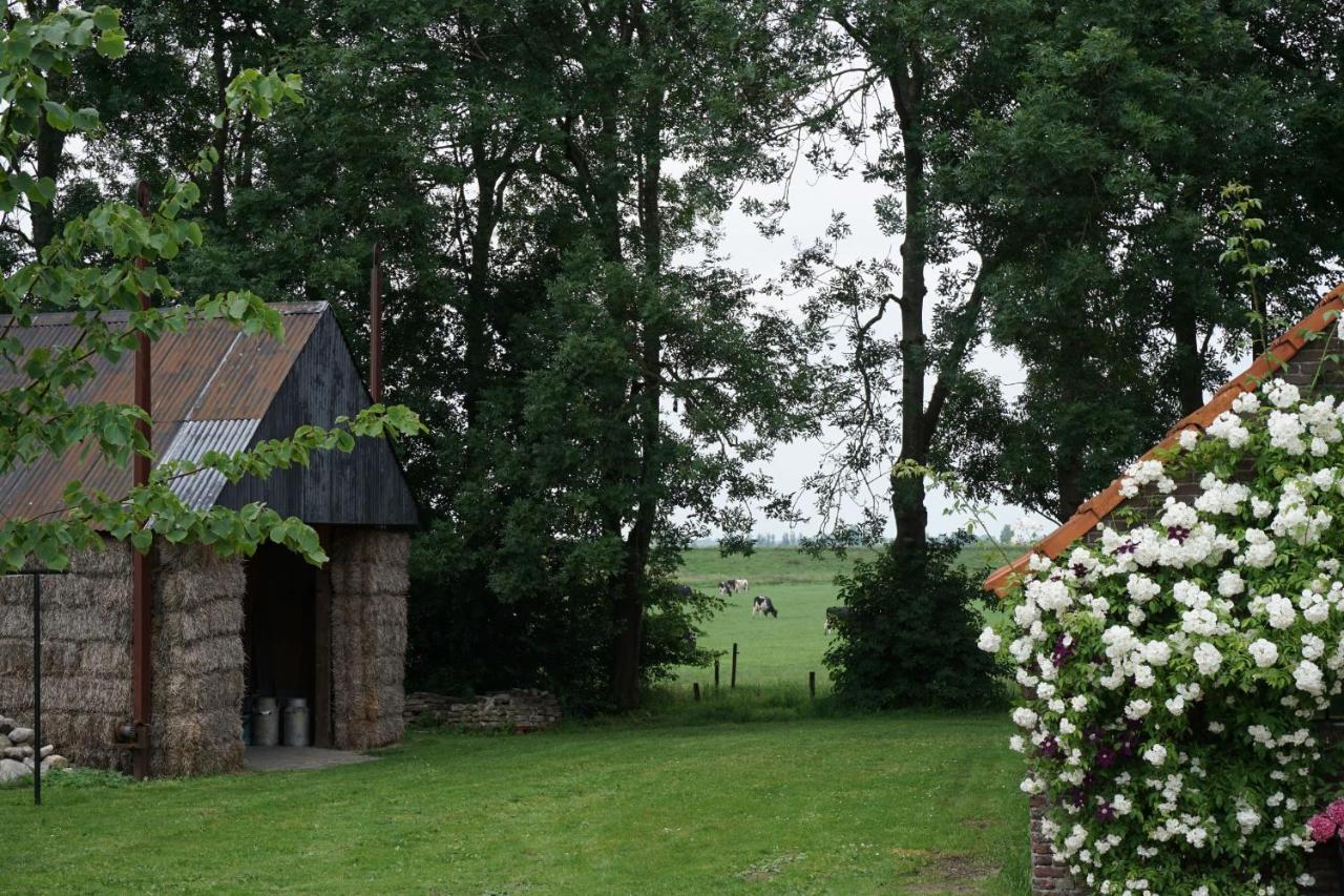 Het Leeuwterveld Bed & Breakfast Sint Jansklooster Exterior photo